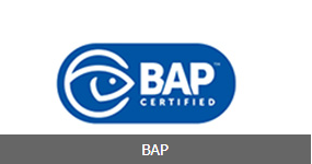 BAP